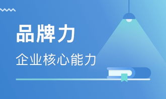 鄭州品牌管理